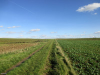 /album/fotogalerie/bildstoff-428-jpg/